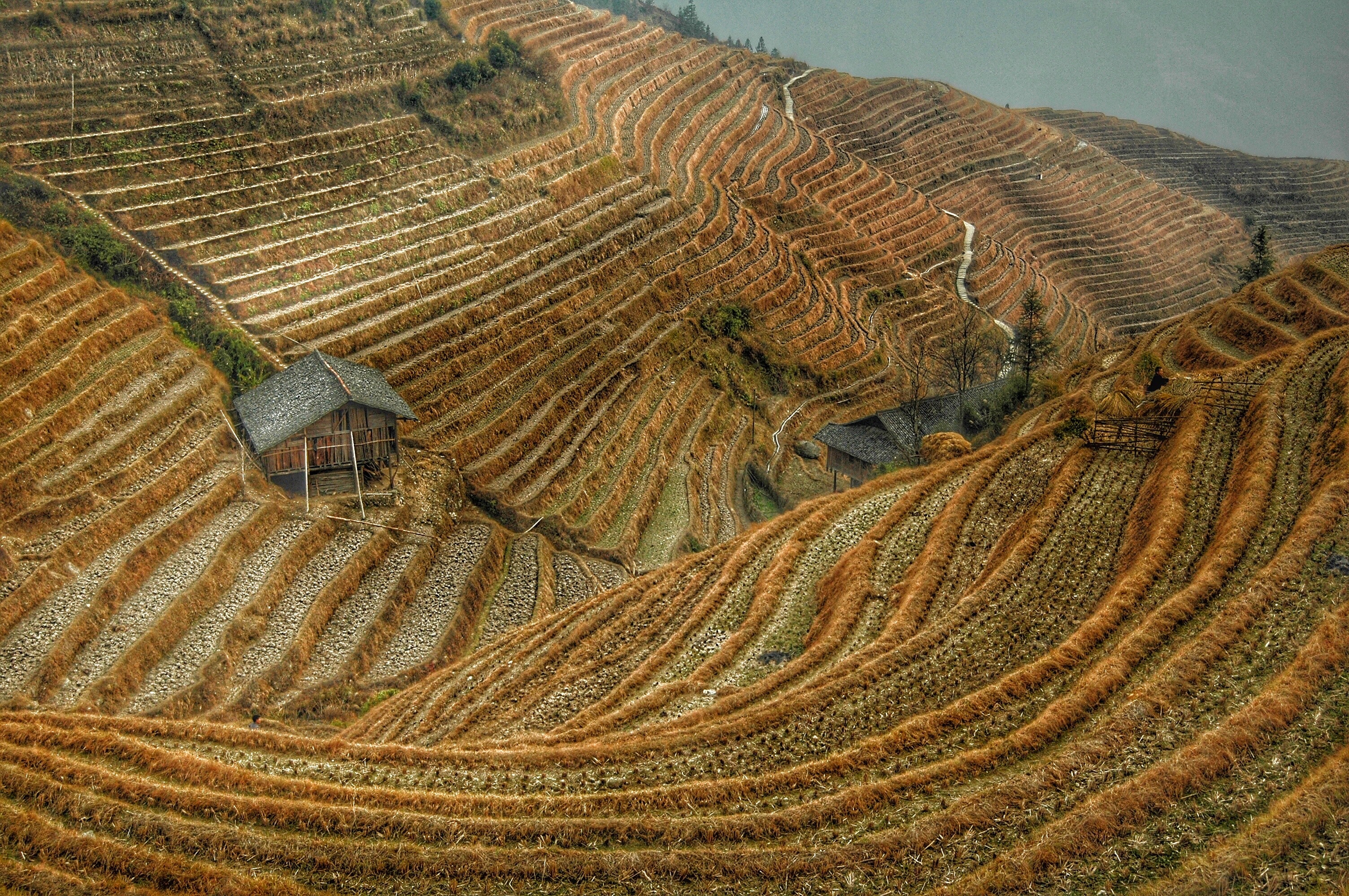 china-contours-farming-68495