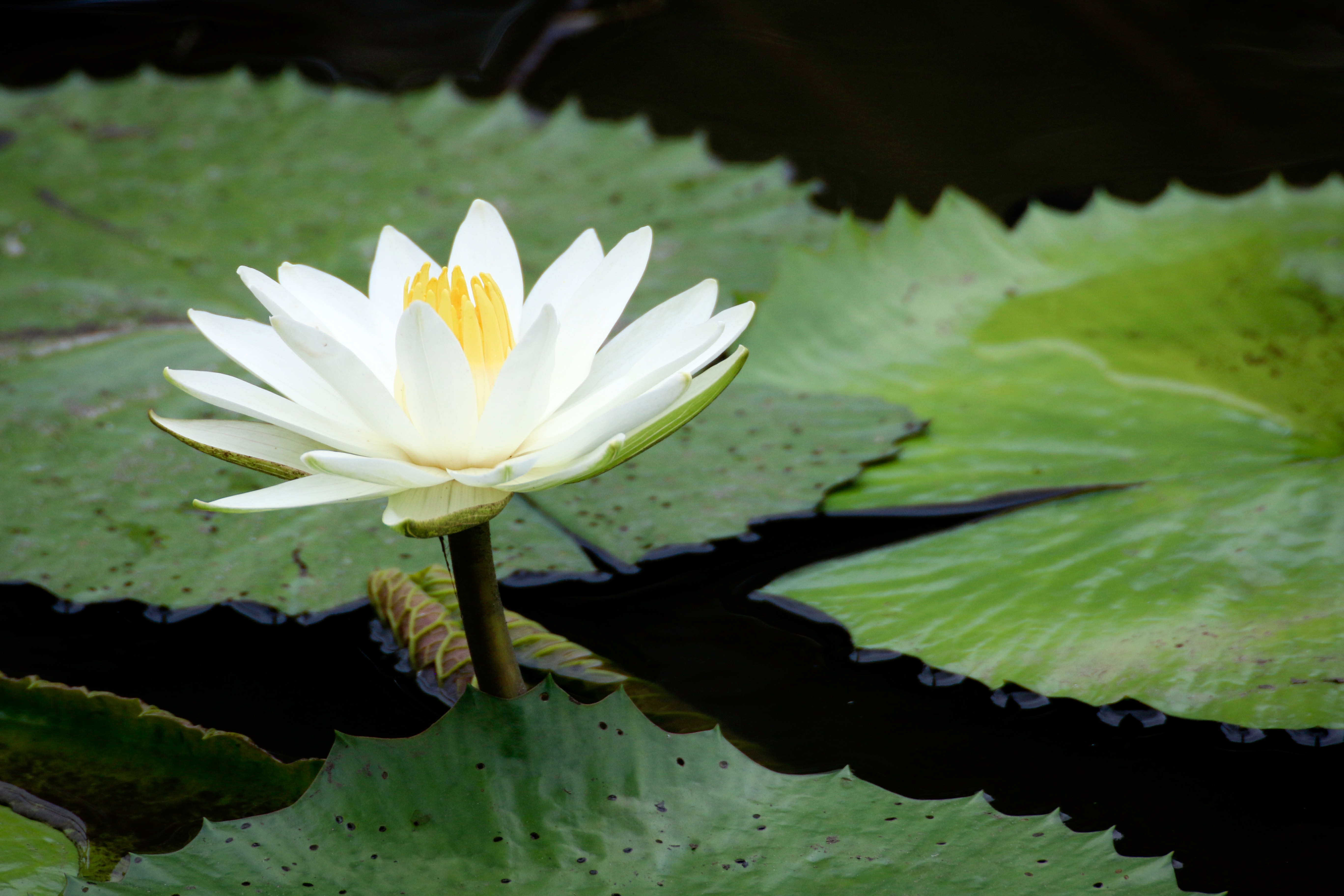 glen-carrie-PaNnGp2Ryq0-unsplash