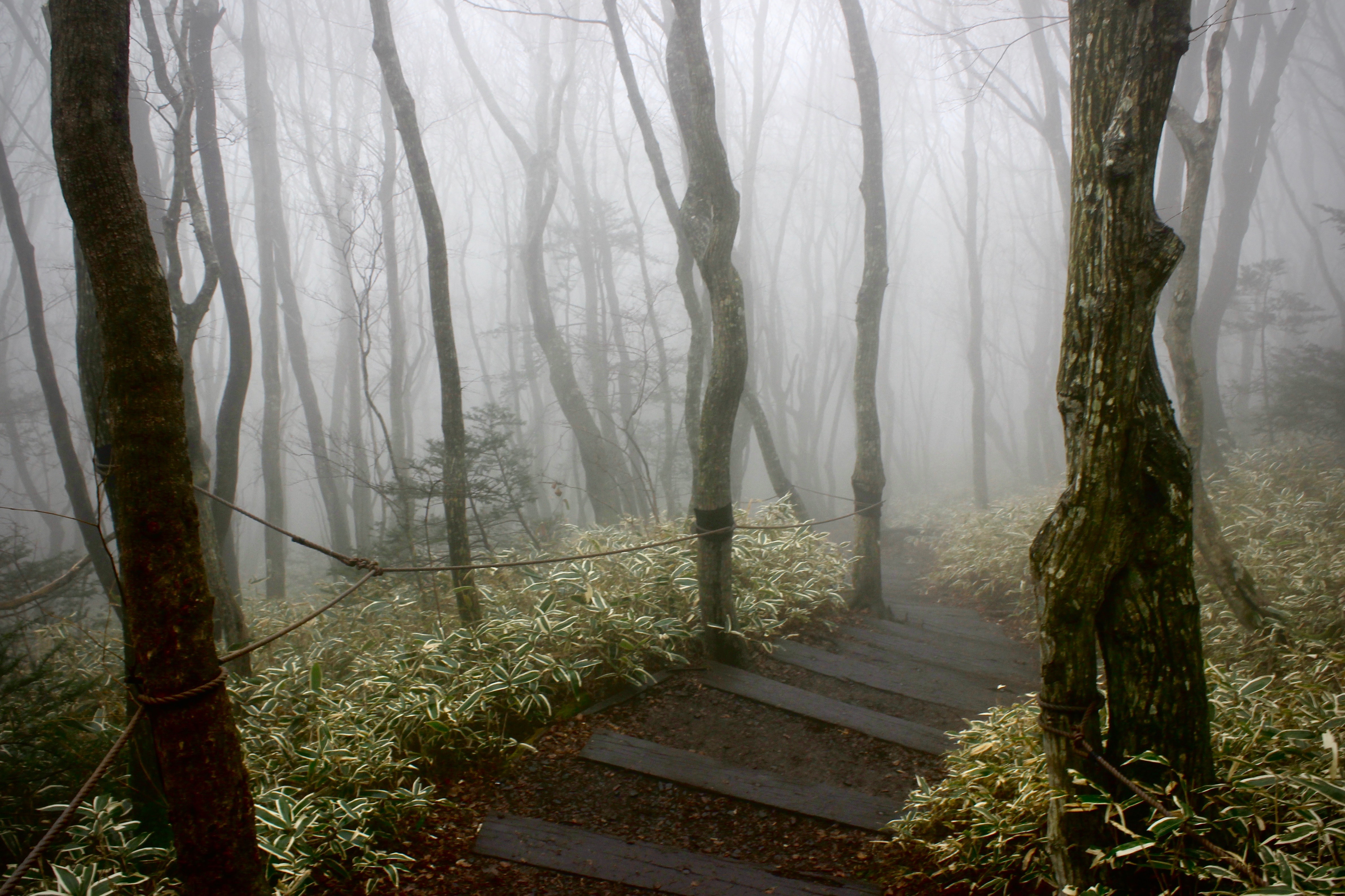 kseniya-petukhova-WadSiYDcT8g-unsplash